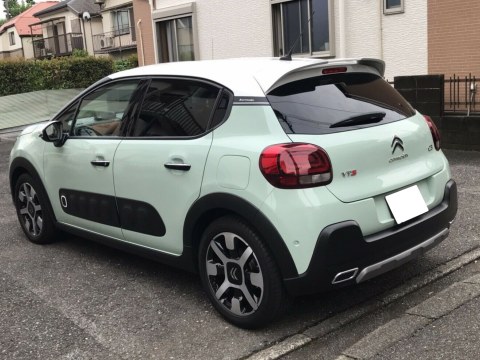 Αεροτομή Οροφής Citroen C3 Mk3 (2017-)